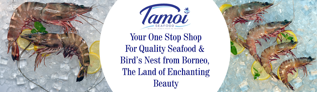 The best place to visit